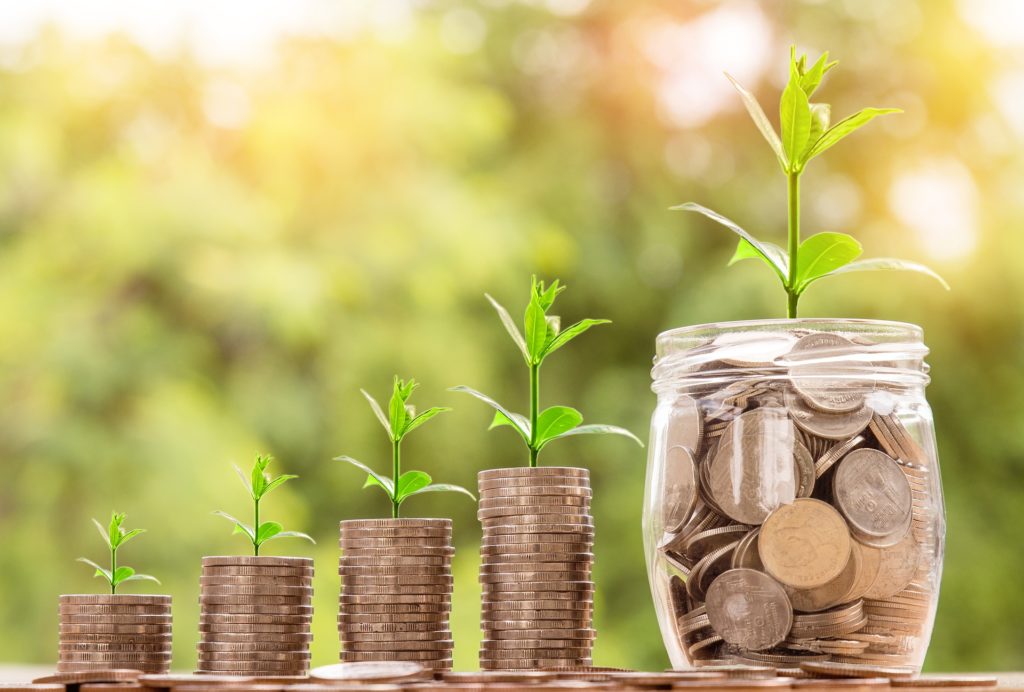 wisely-invested money growing