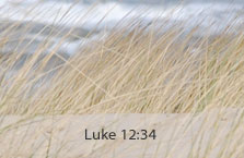 Luke 12:34 citation